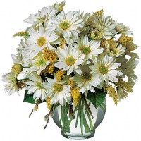 Daisy Cheer Bouquet